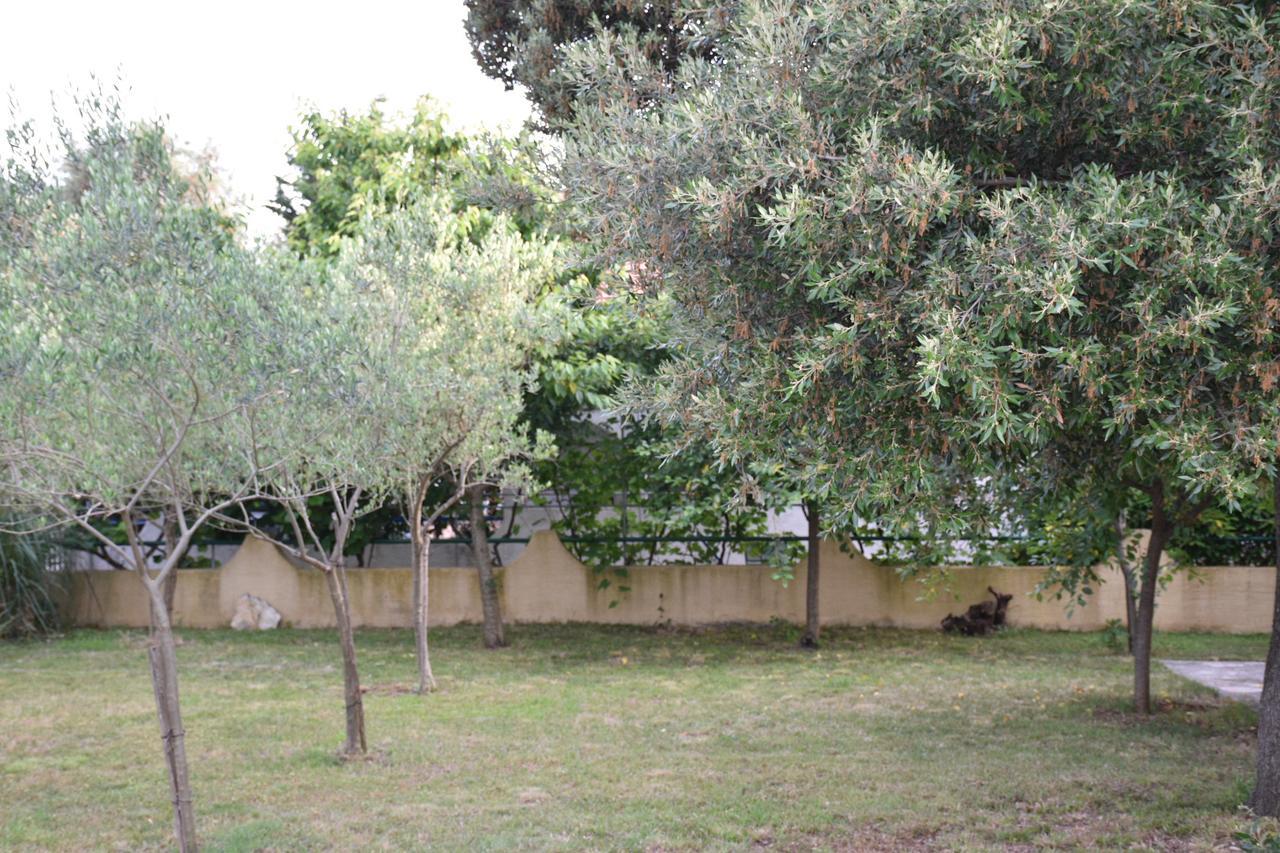 Apartments Antonija Punta Skala Next To Falkensteiner Resort Petrčane Extérieur photo